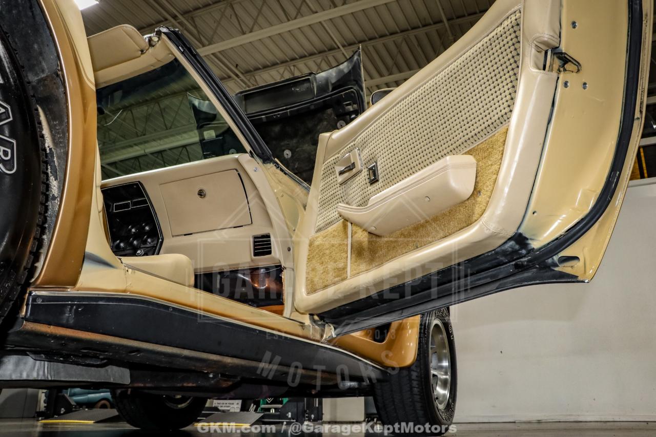 1979 Chevrolet Corvette