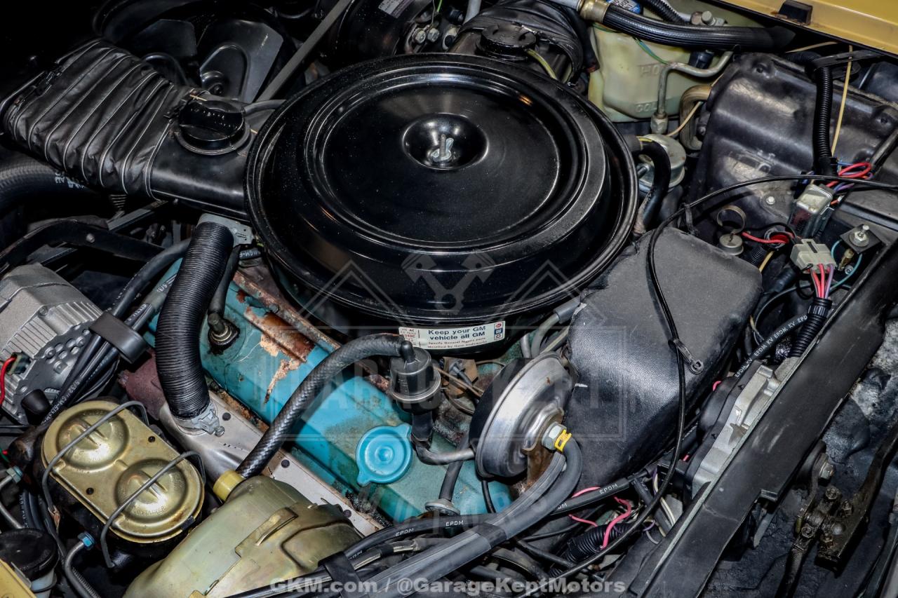 1979 Chevrolet Corvette