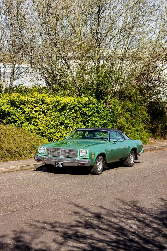 1974 Chevrolet Chevelle Malibu