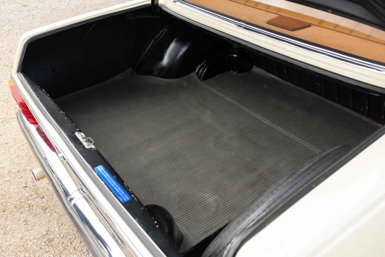 1976 Mercedes - Benz 230