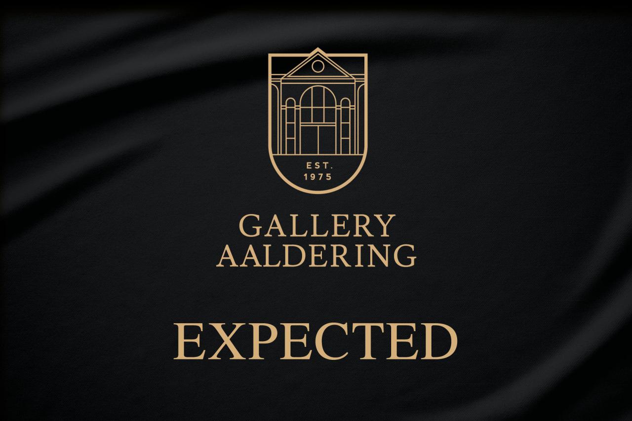 1962 Saab 96 Short Nose &ldquo;Restored with passion&rdquo;