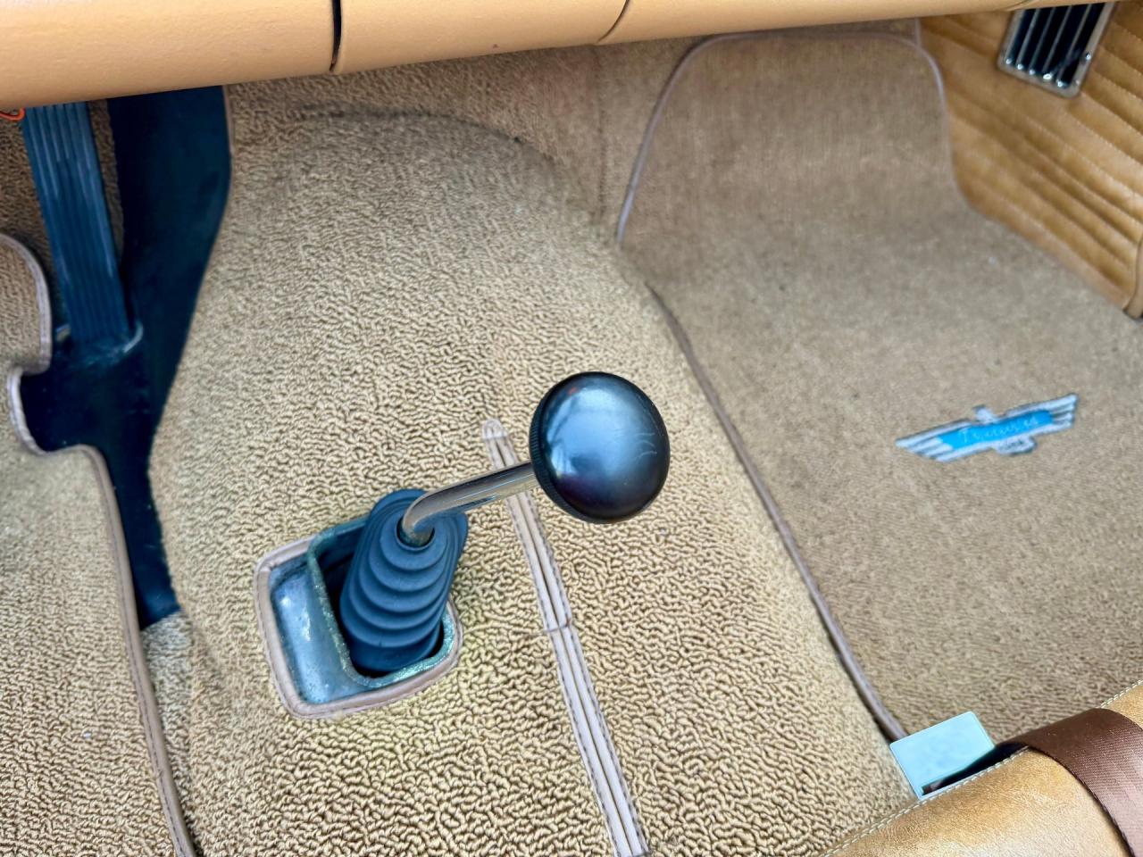 1956 Ford Thunderbird