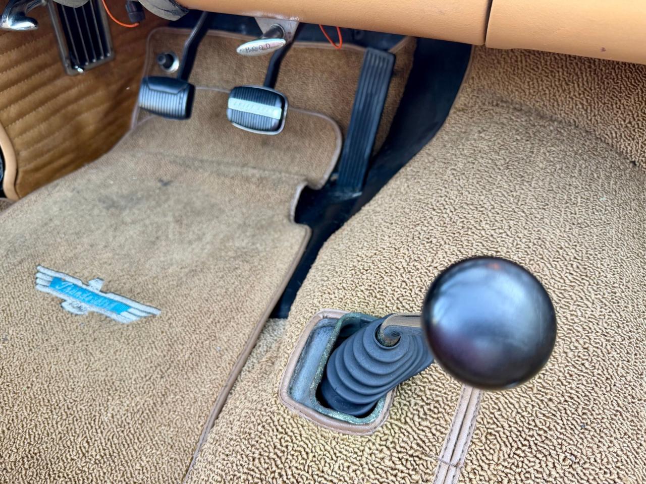 1956 Ford Thunderbird