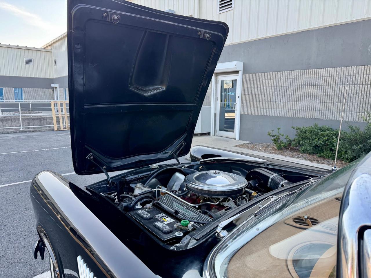 1956 Ford Thunderbird