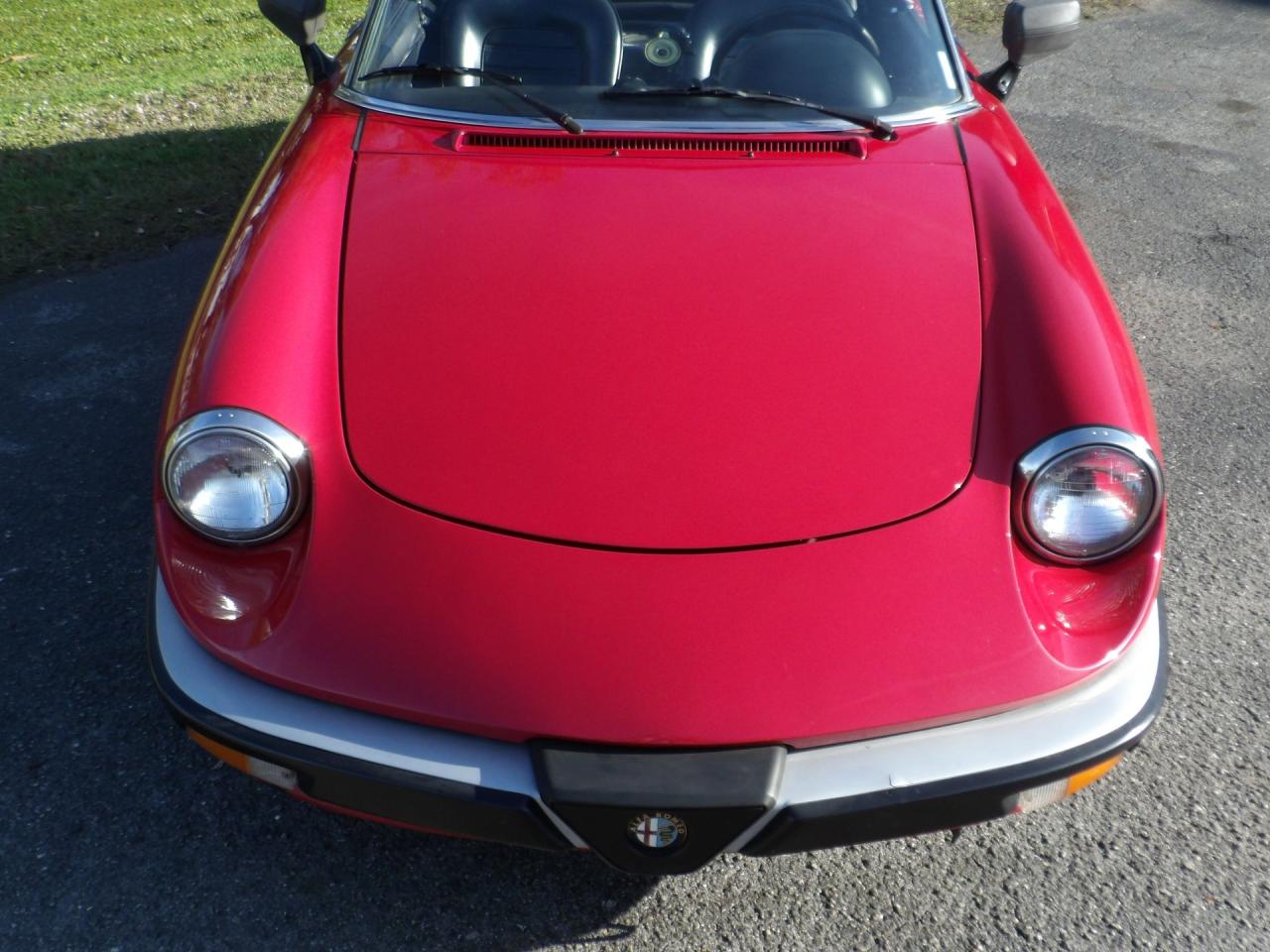 1986 Alfa Romeo Spider Graduate