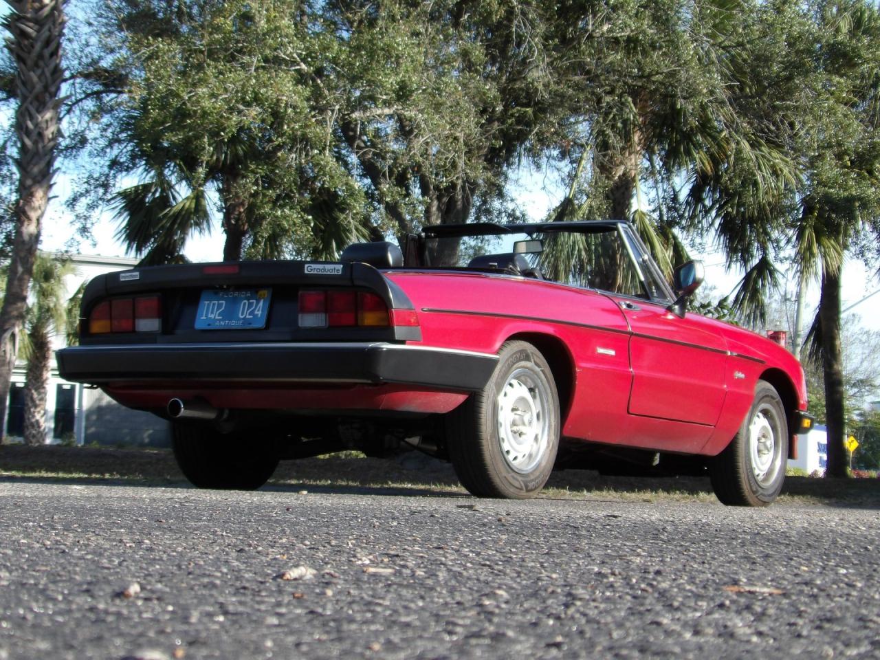1986 Alfa Romeo Spider Graduate
