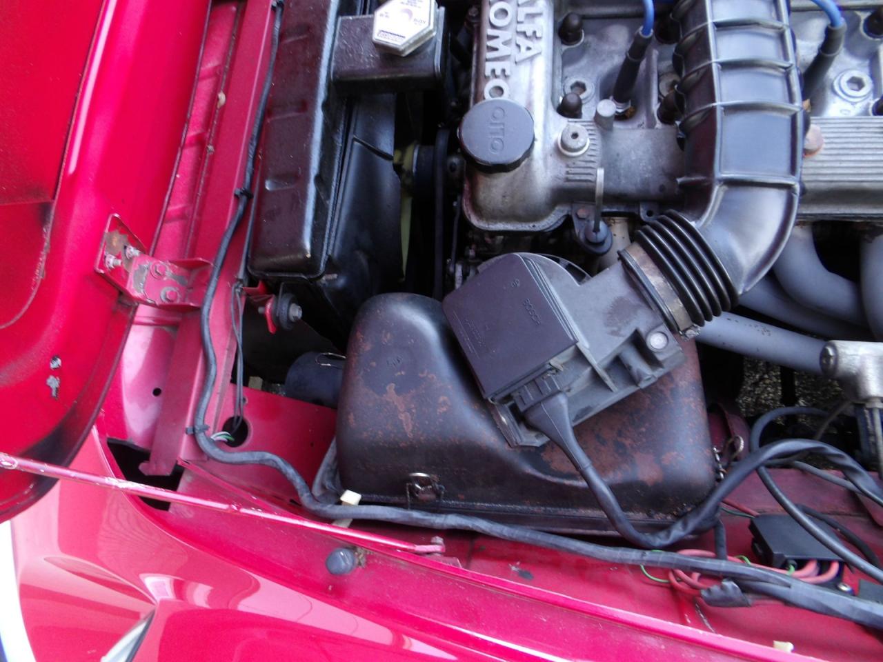 1986 Alfa Romeo Spider Graduate