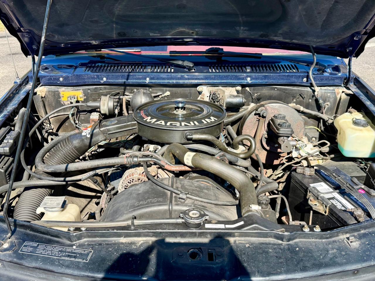 1993 Dodge Dakota LE Extended Cab