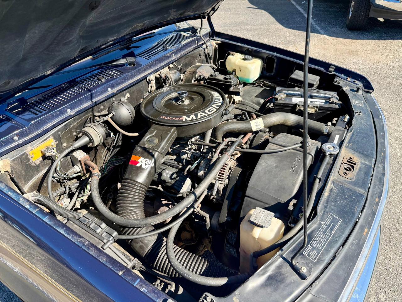 1993 Dodge Dakota LE Extended Cab