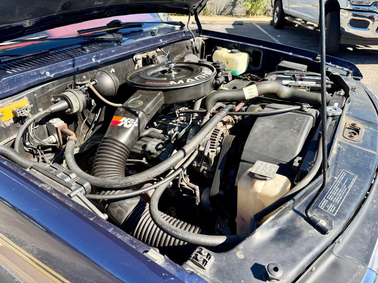 1993 Dodge Dakota LE Extended Cab