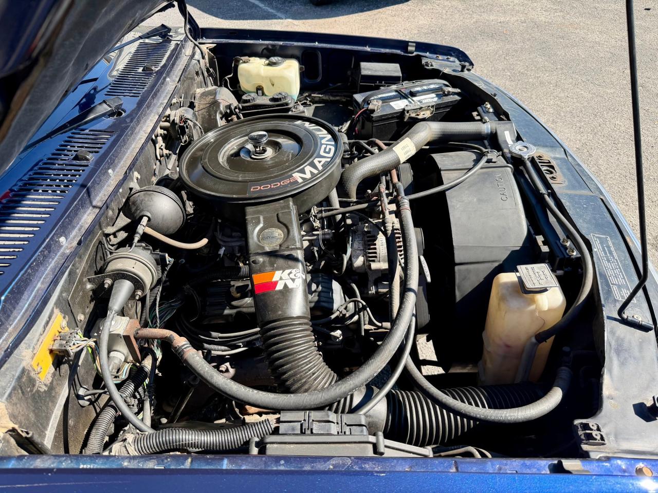 1993 Dodge Dakota LE Extended Cab