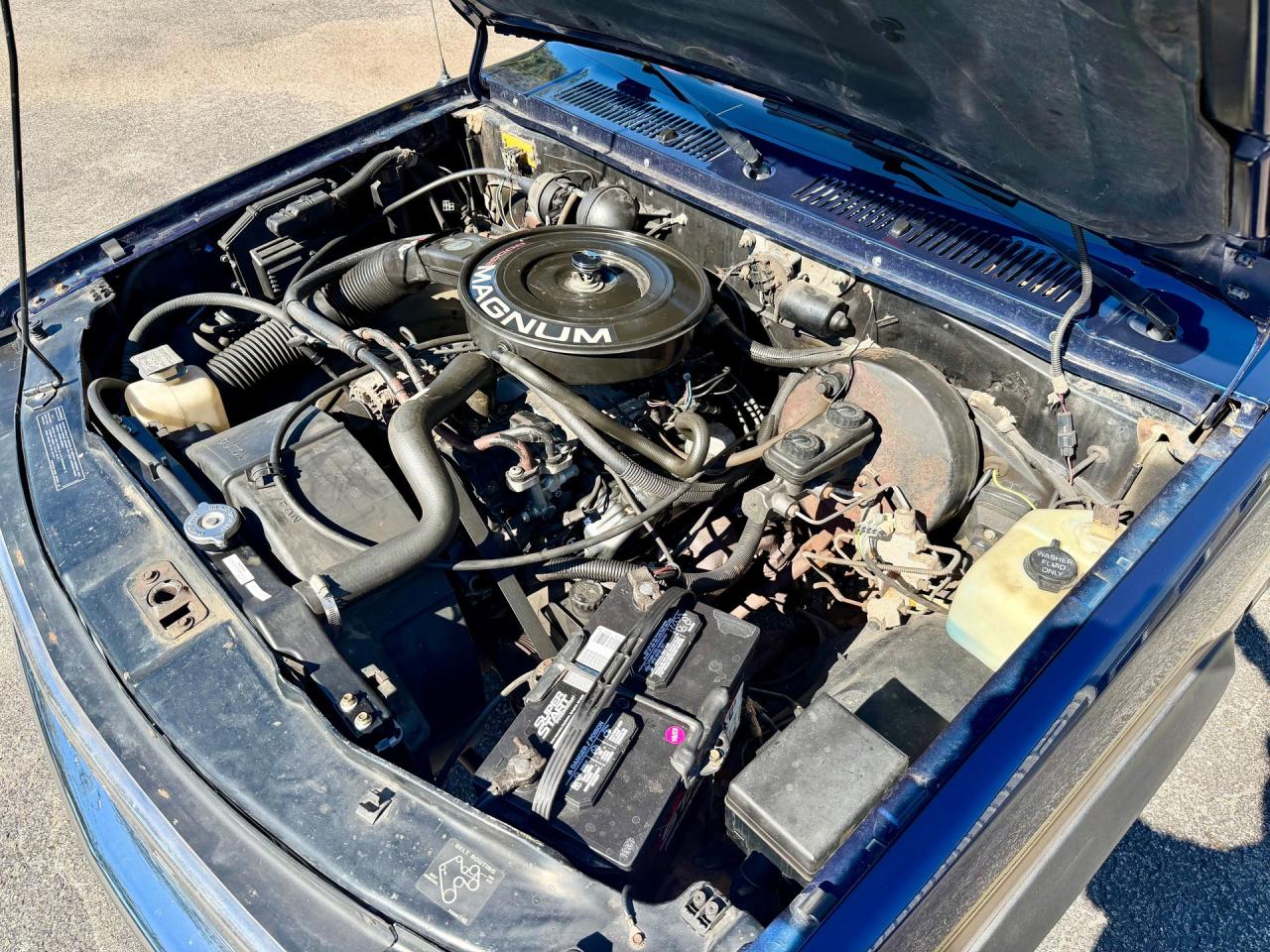 1993 Dodge Dakota LE Extended Cab