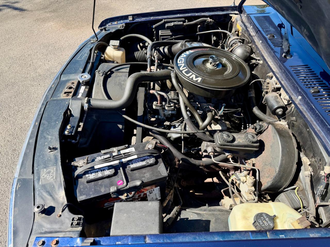 1993 Dodge Dakota LE Extended Cab