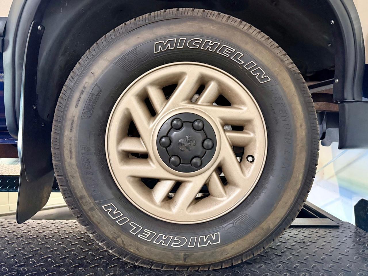 1993 Dodge Dakota LE Extended Cab