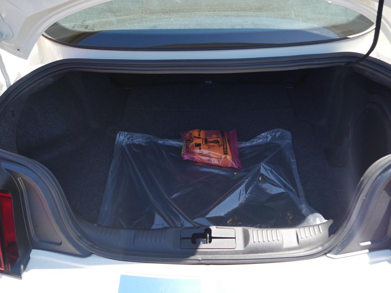 2020 Ford Mustang GT350R Heritage Edition