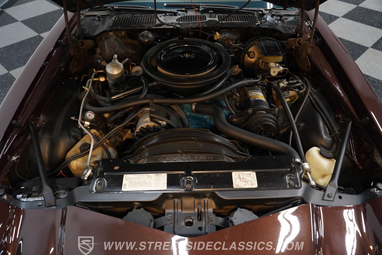 1981 Chevrolet Camaro Z28