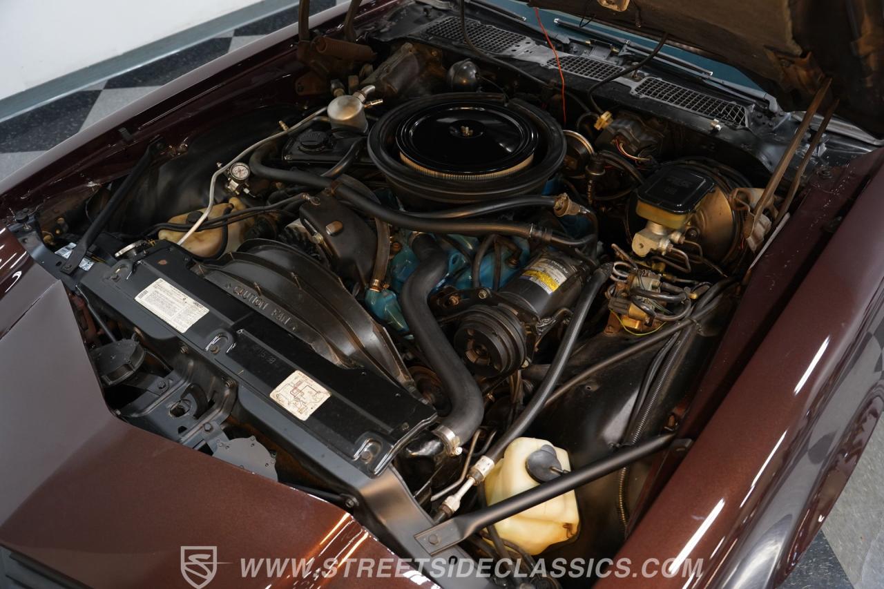 1981 Chevrolet Camaro Z28