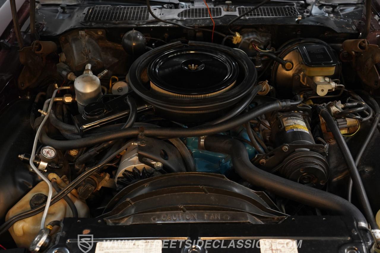 1981 Chevrolet Camaro Z28