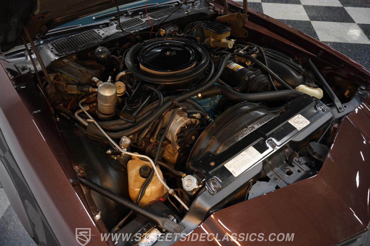 1981 Chevrolet Camaro Z28