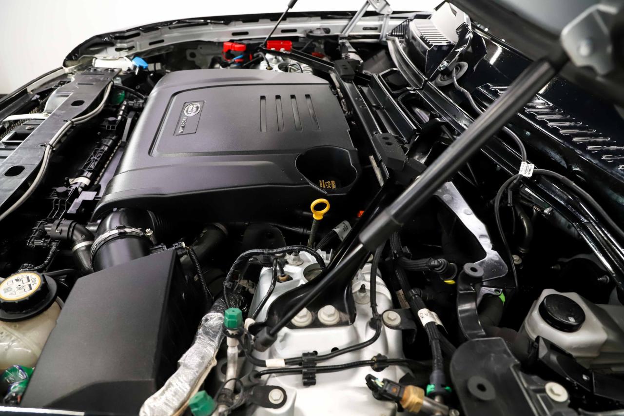 2020 Land Rover Defender Dolus