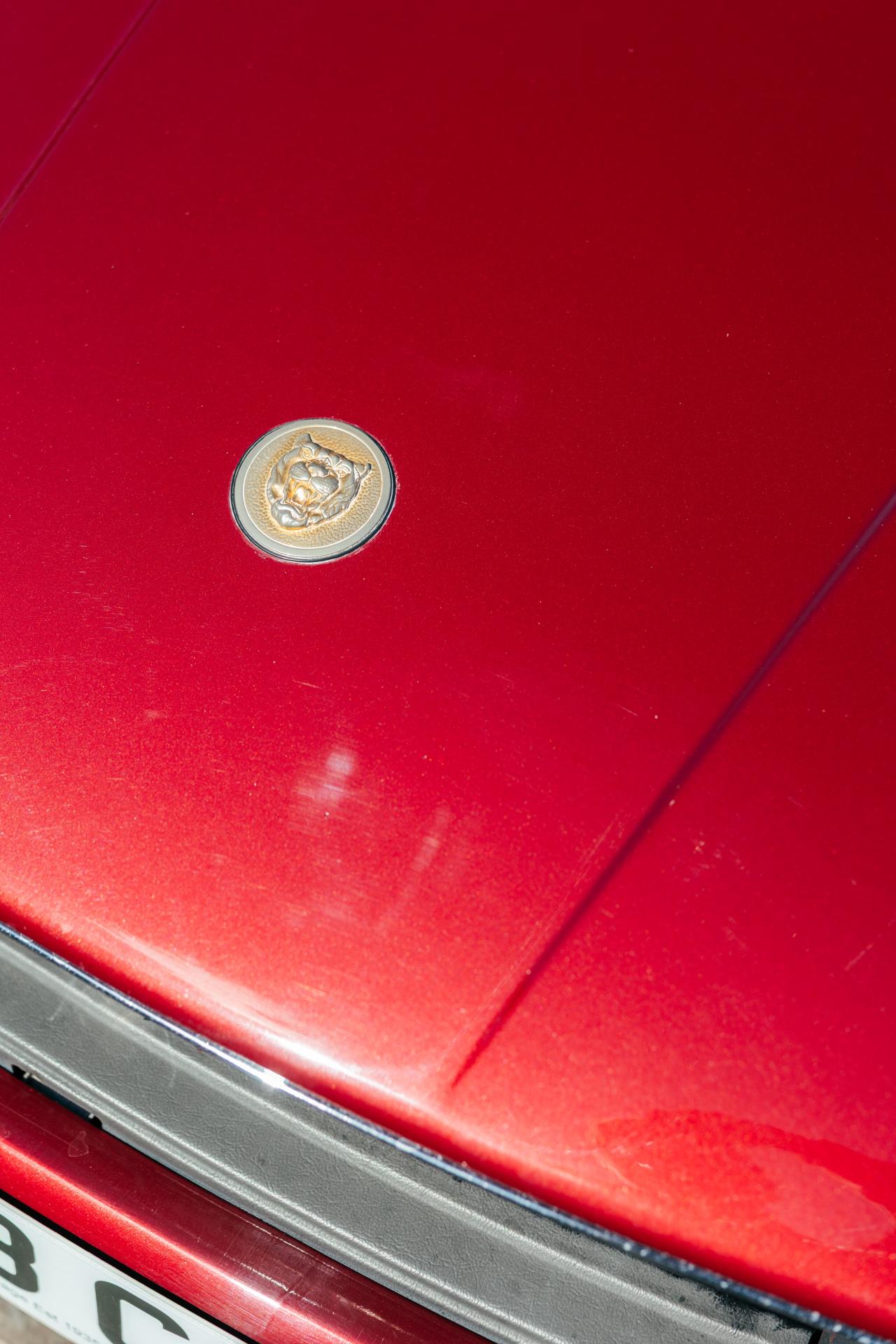 1991 Jaguar XJS Le Mans