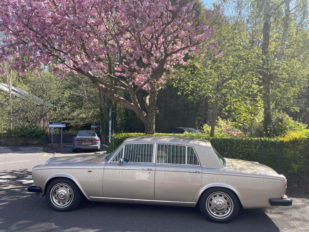 1978 Rolls - Royce Silver Shadow 2