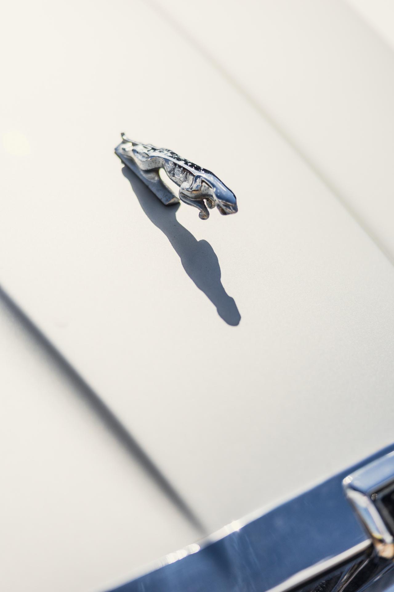 1982 Jaguar XJ6 S3 (4.2 litre)