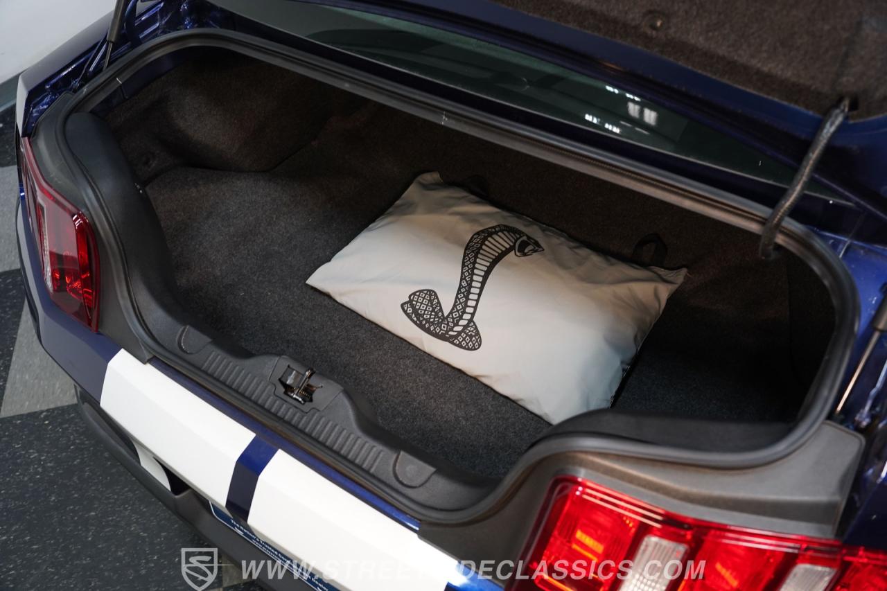 2010 Ford Mustang GT500