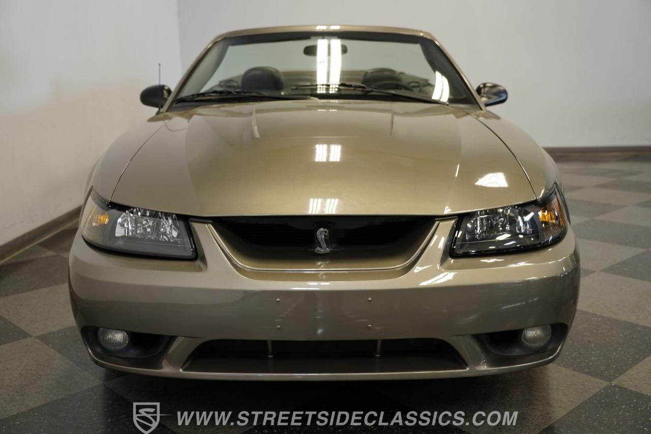 2001 Ford Mustang Cobra SVT Convertible