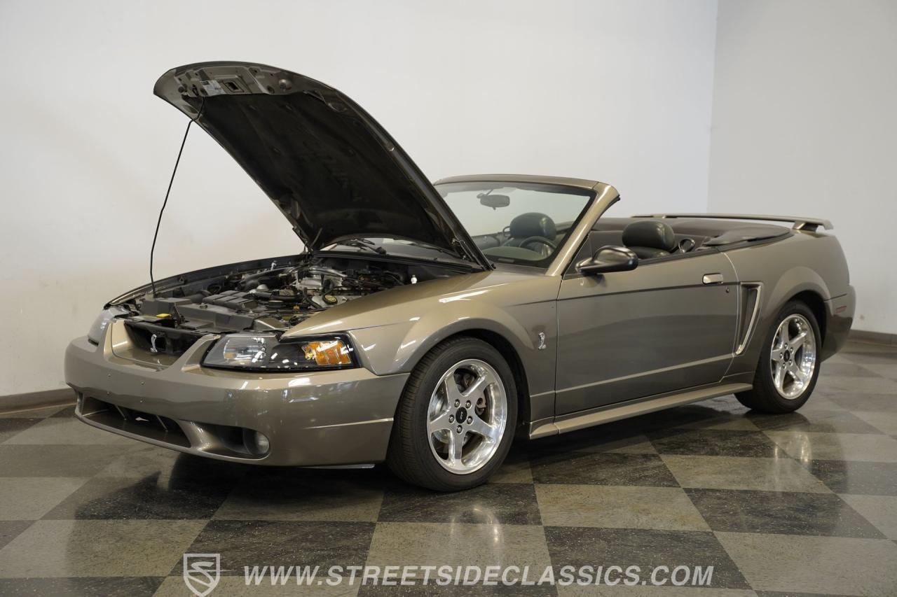 2001 Ford Mustang Cobra SVT Convertible