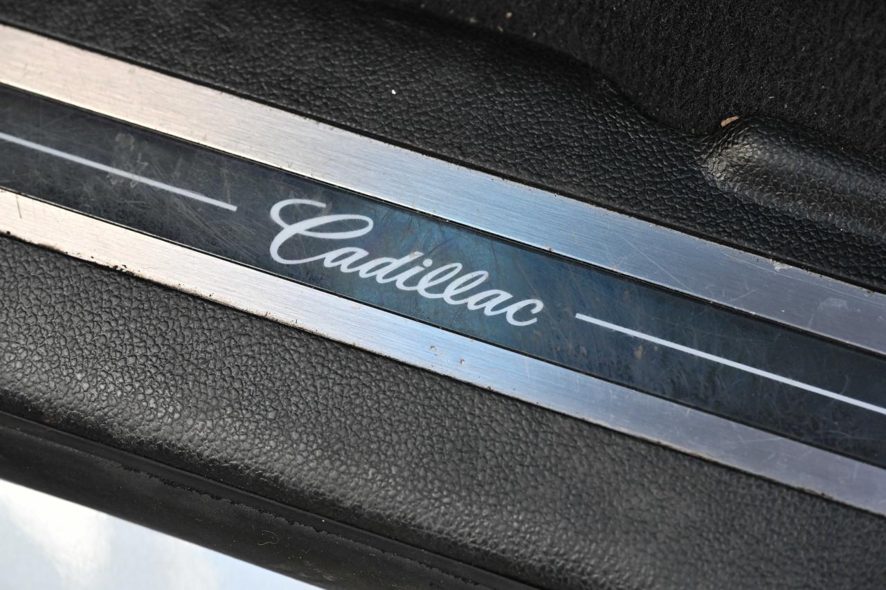 2019 Cadillac Escalade