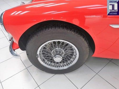 1964 Austin - Healey 3000