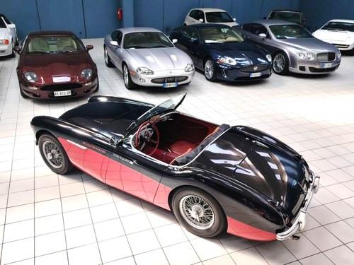 1956 Austin - Healey 100/4
