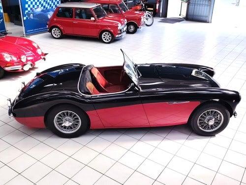1956 Austin - Healey 100/4