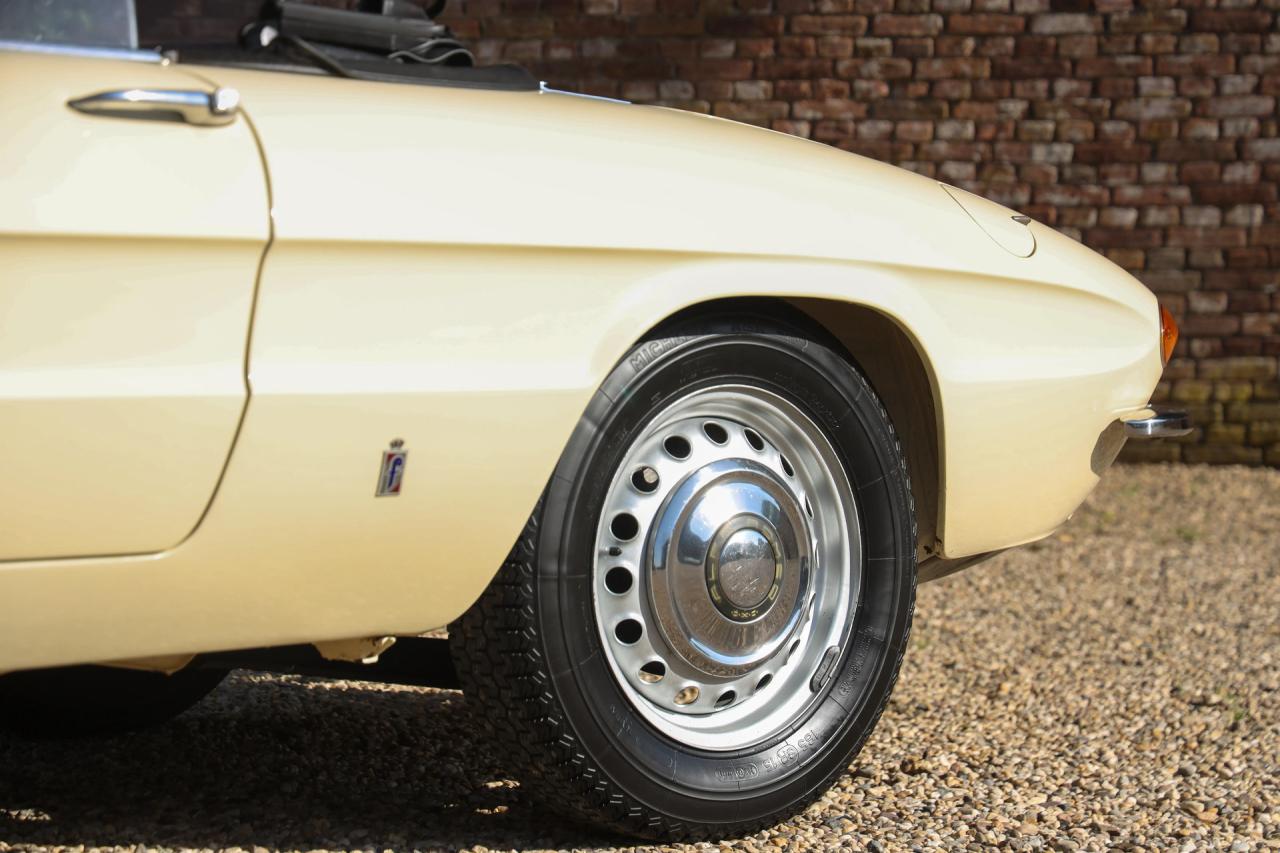 1967 Alfa Romeo Spider Duetto 1600
