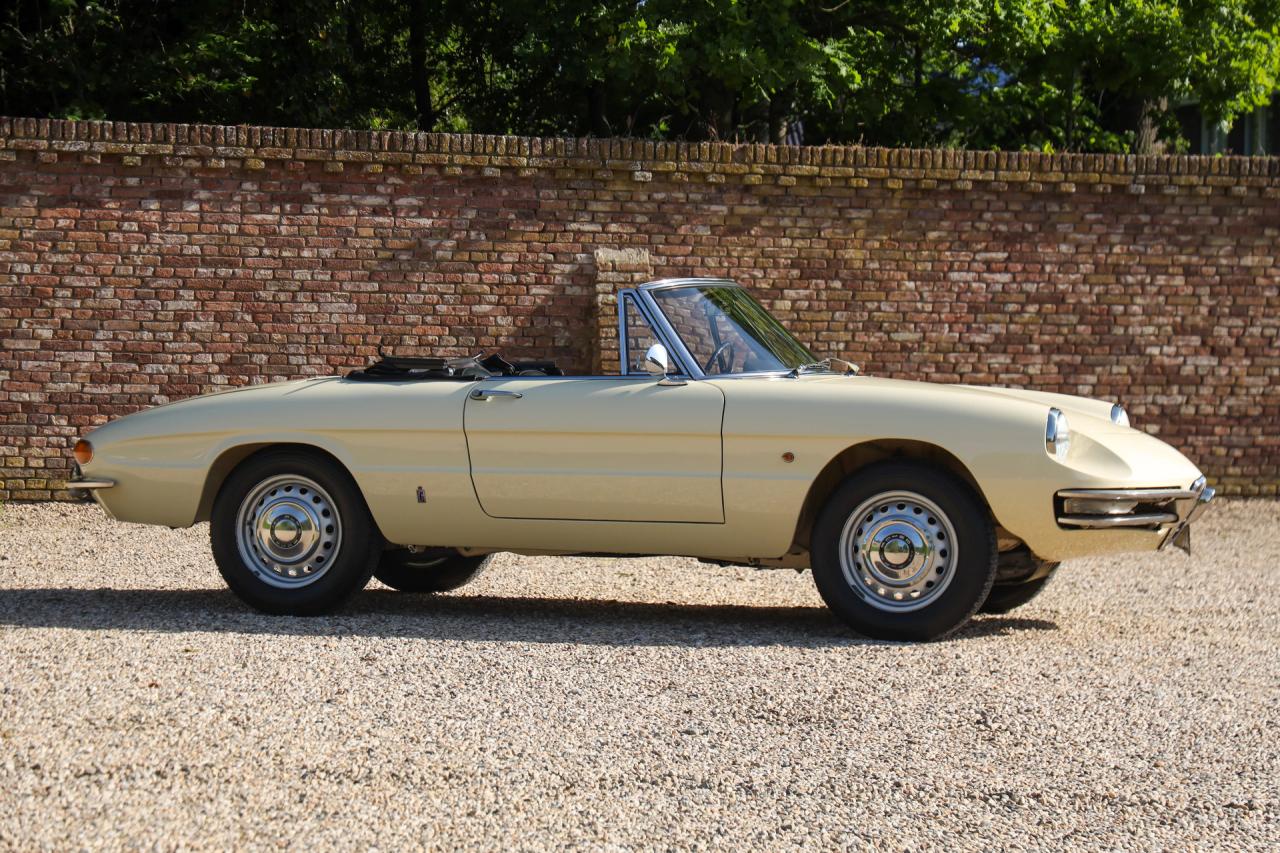 1967 Alfa Romeo Spider Duetto 1600