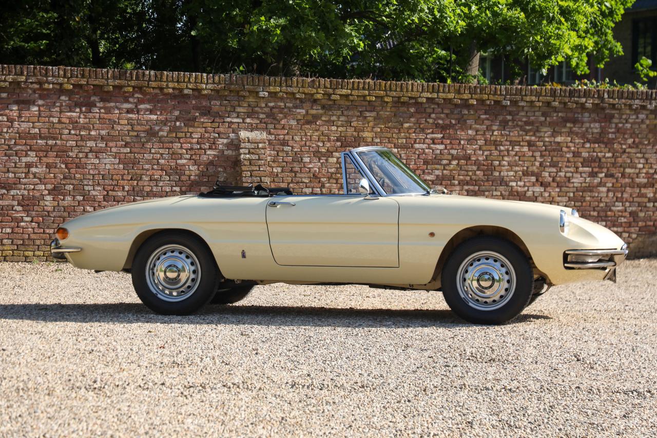 1967 Alfa Romeo Spider Duetto 1600