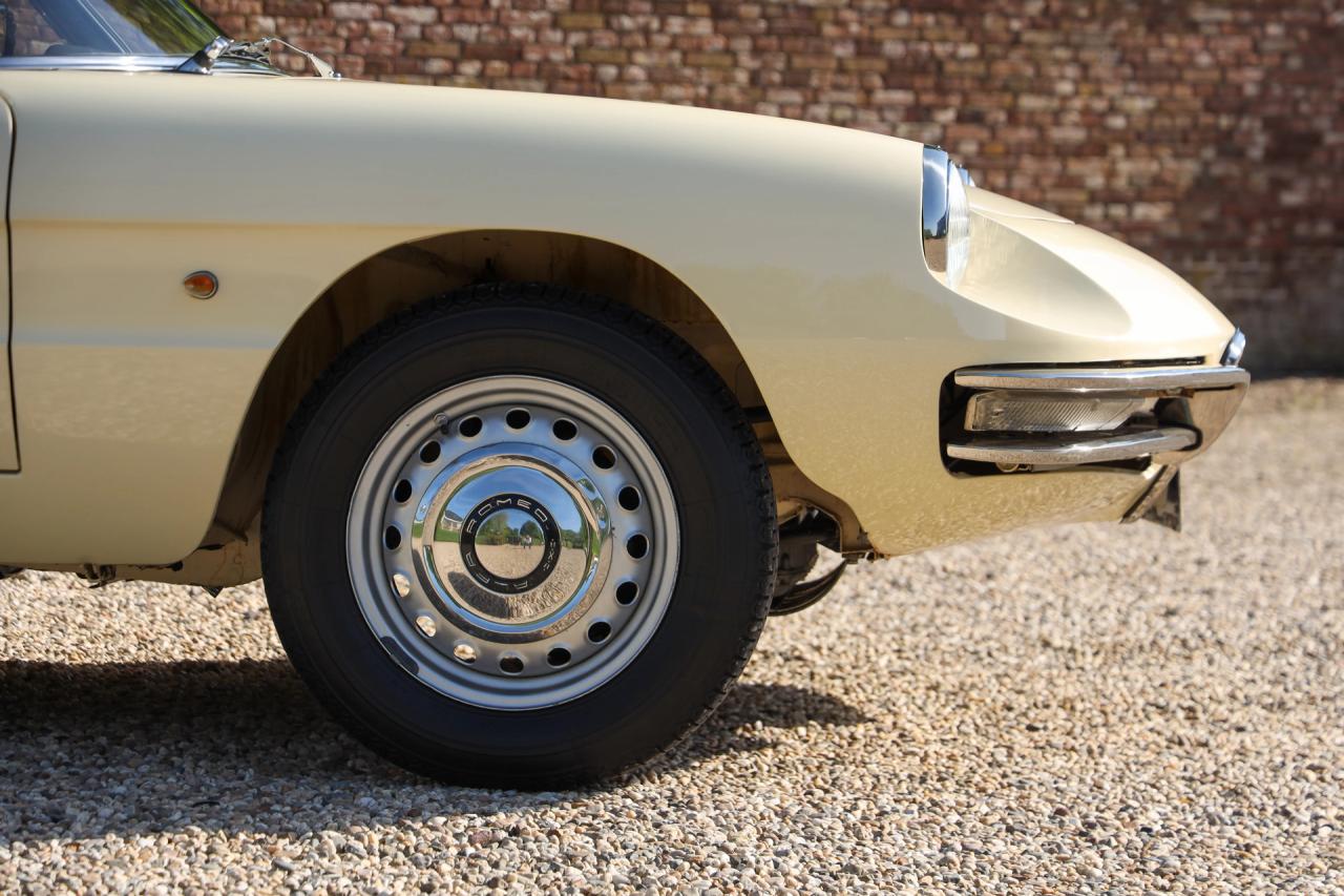 1967 Alfa Romeo Spider Duetto 1600
