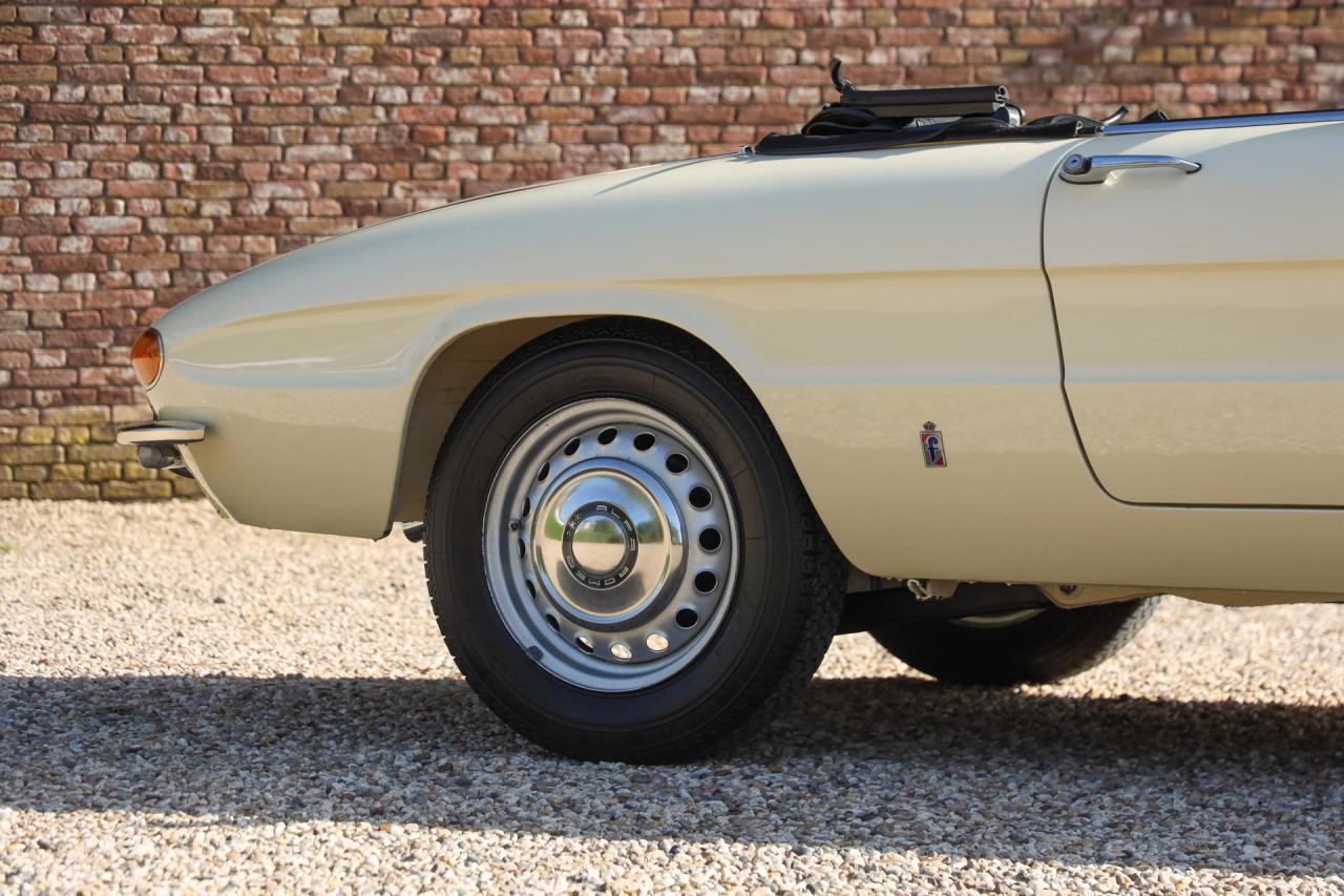 1967 Alfa Romeo Spider Duetto 1600