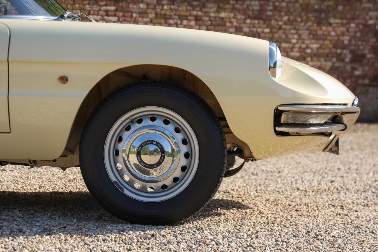 1967 Alfa Romeo Spider Duetto 1600
