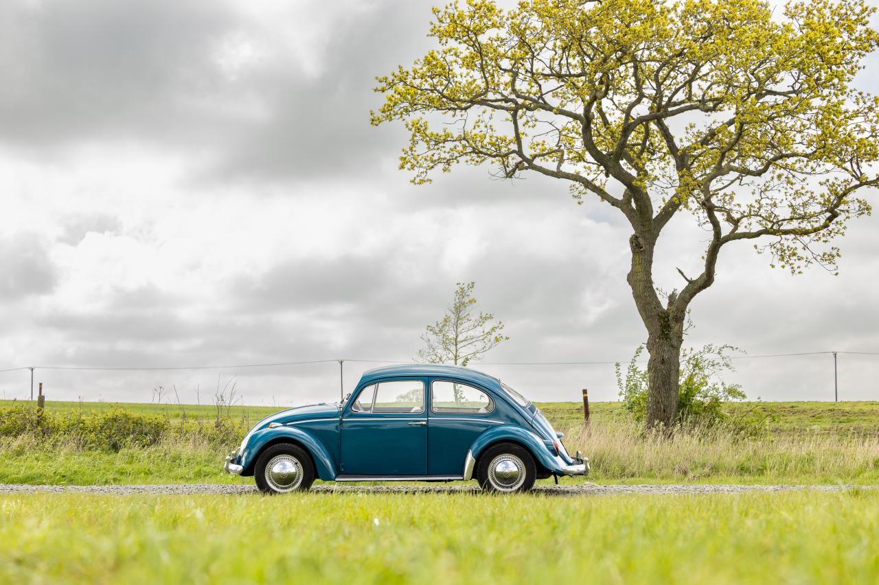 1965 Volkswagen Beetle