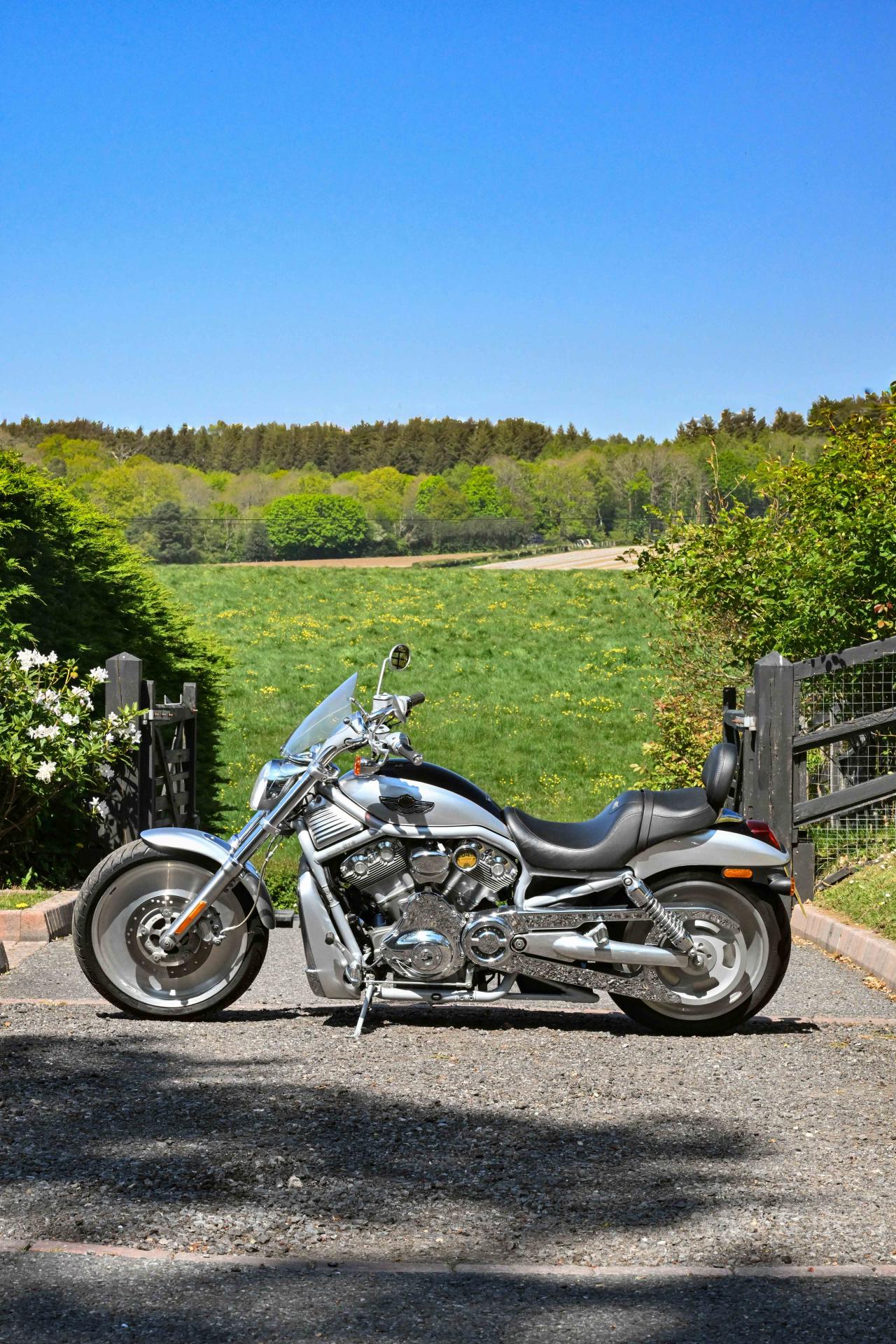 2003 Harley Davidson VRSCA V-Rod
