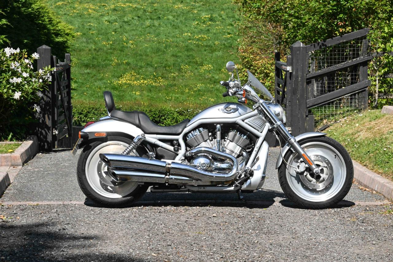 2003 Harley Davidson VRSCA V-Rod