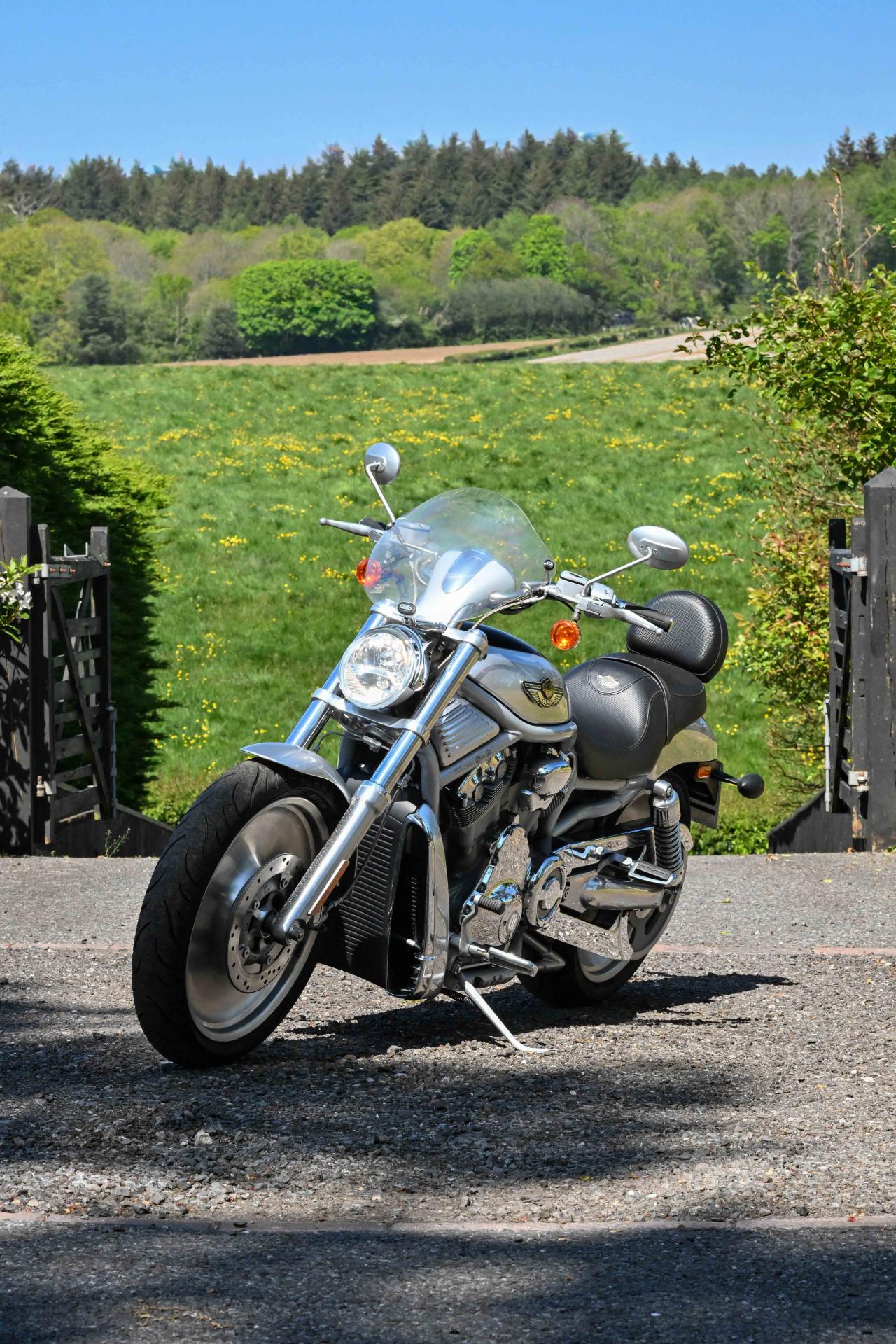 2003 Harley Davidson VRSCA V-Rod