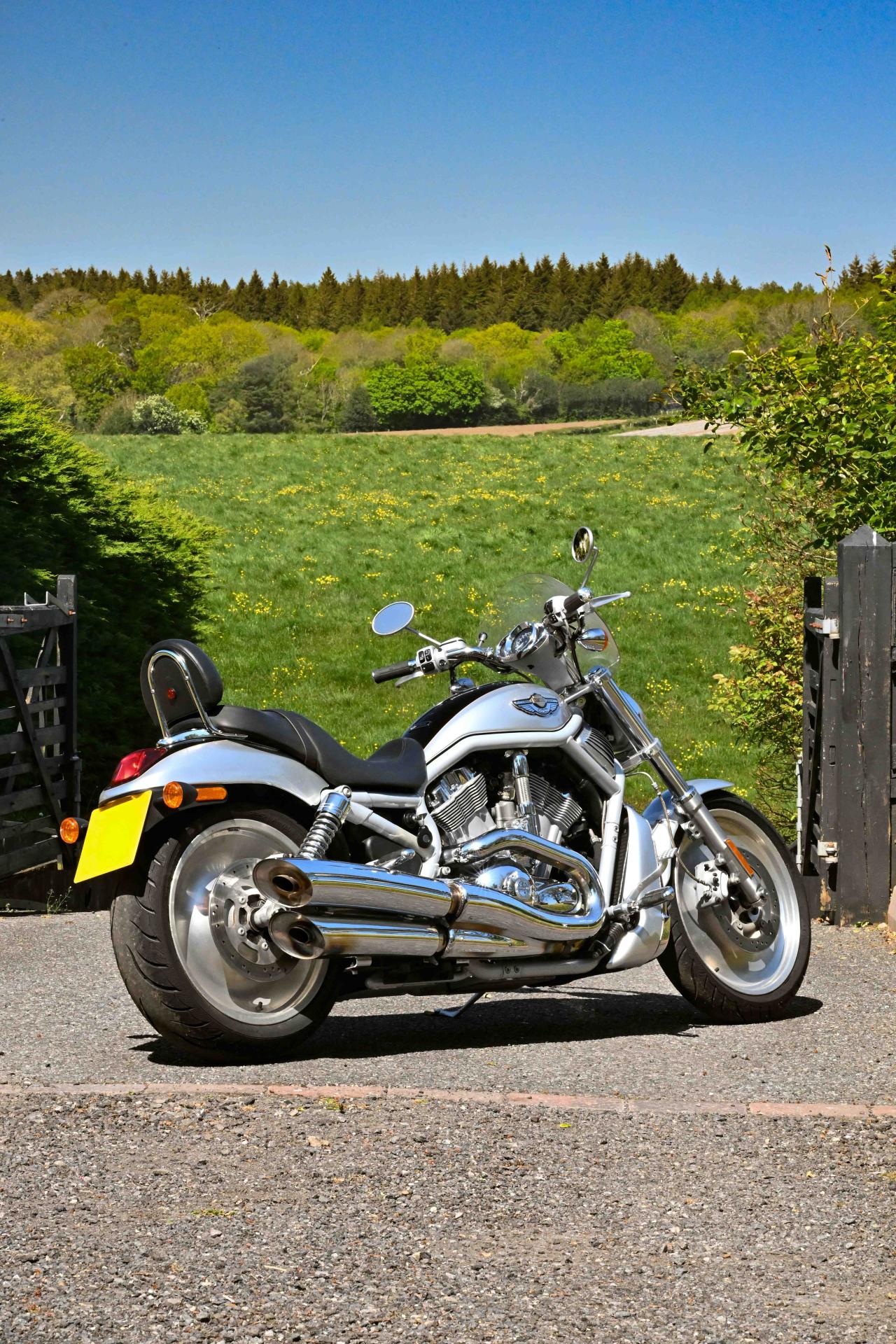 2003 Harley Davidson VRSCA V-Rod