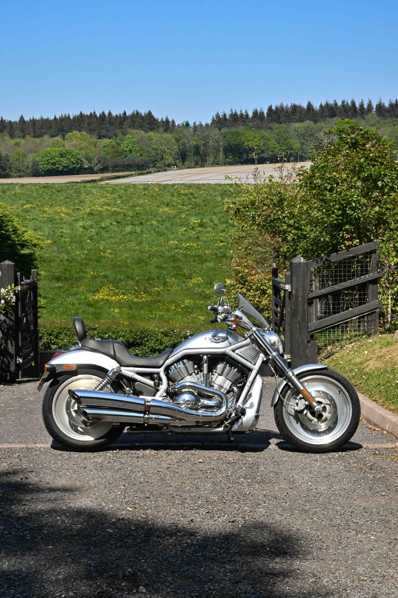 2003 Harley Davidson VRSCA V-Rod