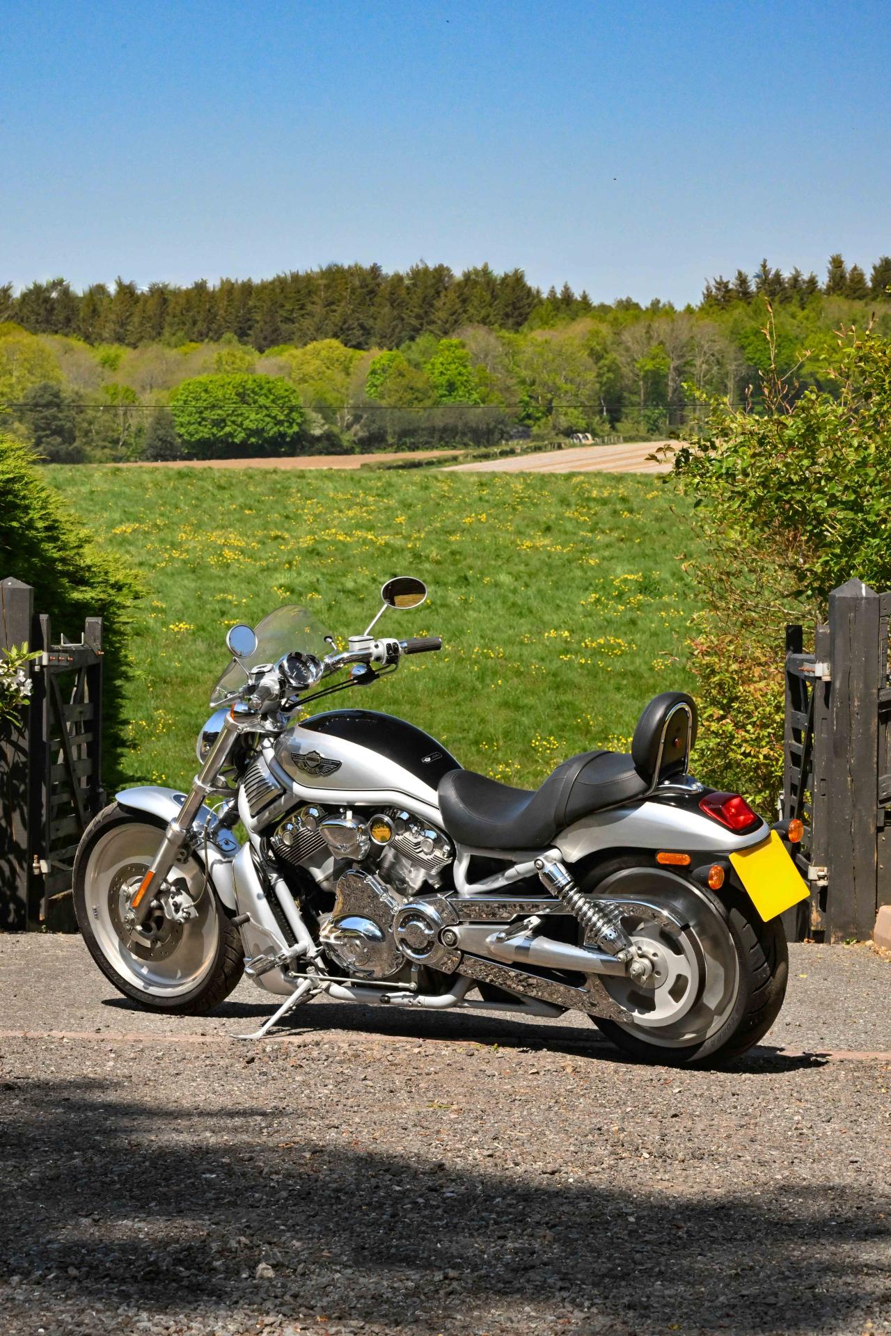 2003 Harley Davidson VRSCA V-Rod
