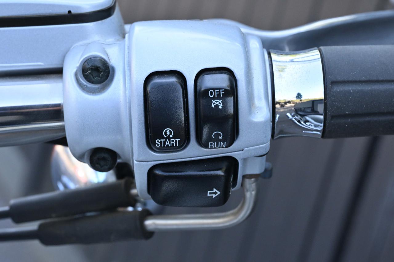 2003 Harley Davidson VRSCA V-Rod