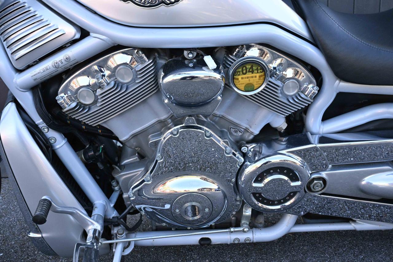 2003 Harley Davidson VRSCA V-Rod