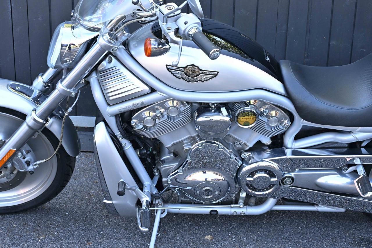 2003 Harley Davidson VRSCA V-Rod